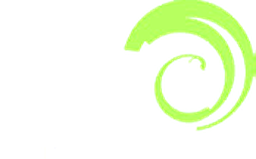 Irish Martial Arts Commission logo